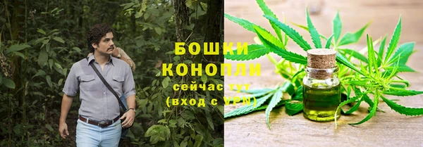 ALPHA PVP Аркадак