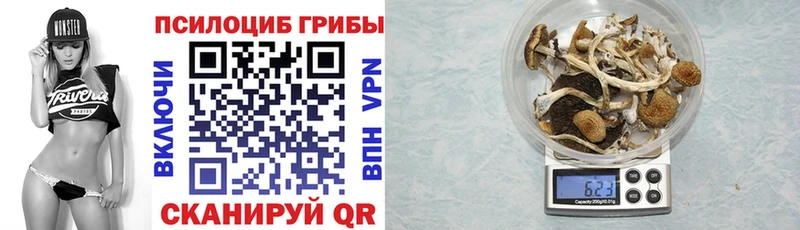 Псилоцибиновые грибы прущие грибы  Сальск 